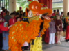 CNY Acrobatic Lion Dance